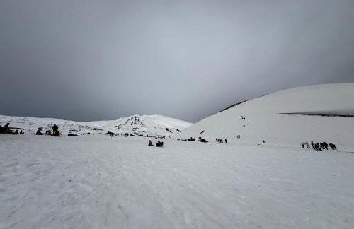 AlbaHouse - Photo 6