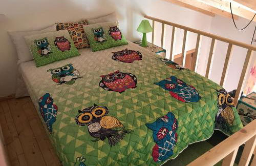 Vila Velha Guest House - Foto 8