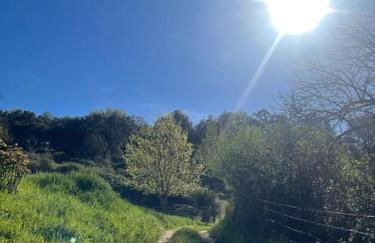 Casa rural La Frambuesa - Foto 60