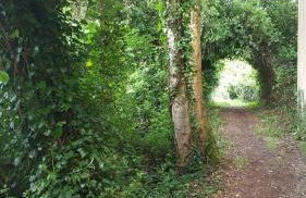 Precioso apartamento con patio centro de Castropol - Foto 9