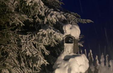 Oberprantschöllhof - Horse Mountain Stable - Foto 29