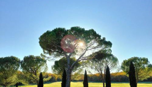 Fattoria Agriturismo Nerbona - Foto 2, Garden