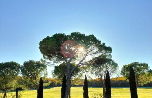 Fattoria Agriturismo Nerbona - Foto 2