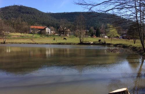 Le chalet des Cambuses - Foto 31