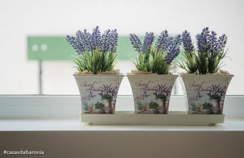 Casas da Baronia - Foto 6