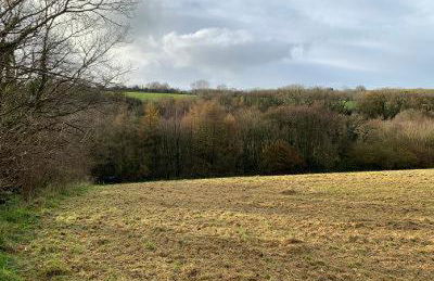 Wild Coastal Retreat at Troed Y Rhiw Aberporth, West Wales - Foto 55