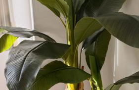 Abracadabra Calpe - Photo 24