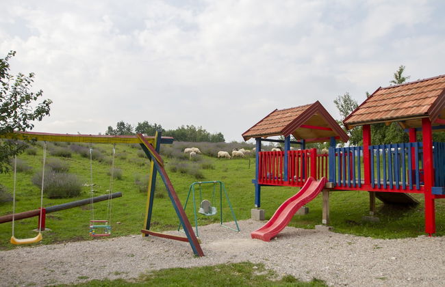 apartmani lavanda - Foto 25