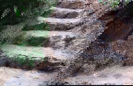 Berkey's Jungle Paradise - Photo 59