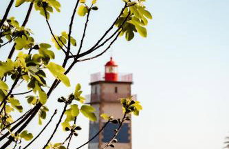 Estoril Biarritz - Luxury Sea View - Center Apart - Foto 48