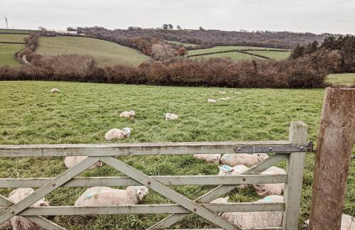 Stunning Shepherd's Hut Retreat North Devon - Foto 25