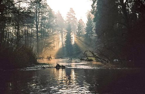 Ostoja Szmana - Foto 45