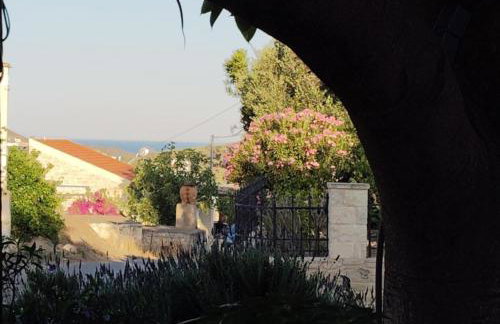 Minfot Local House - Photo 39