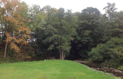 Grandeagles Extra large lodge - Foto 15