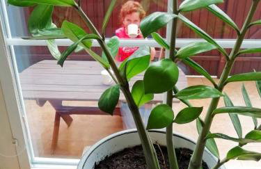 Apartament Fabryka Endorfin Kłodzko - Foto 35