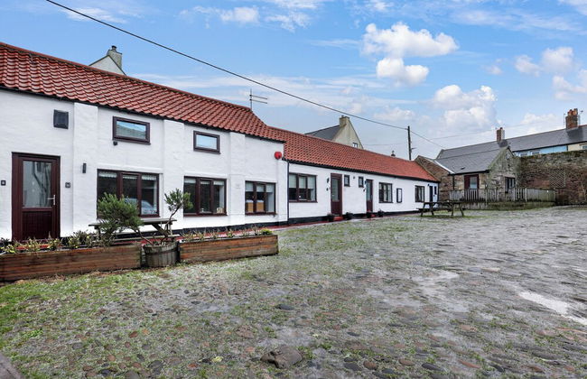 Puffling Perch - North East Escapes - Foto 9