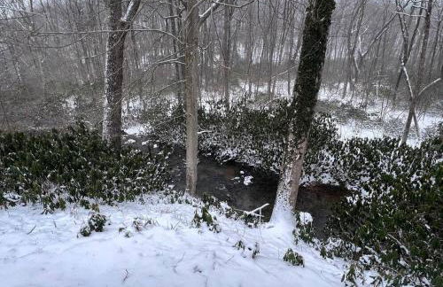 Bern's Summit Solitude: Stream-Front Serenity - Photo 11