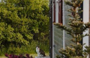 Domki na Górniej Łące - Domek Słowik - Foto 22