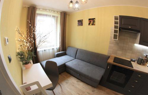 Apartamenty Zielone Centrum - Foto 30