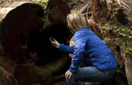 Glacier Guest Room - PRIVATE ROOM IN SHARED HOUSE REDUCED PRICE ON TOURS - Foto 48