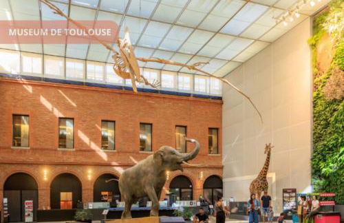 T2 Havre paix Centre ville Toulouse - St Georges - Bureau Wifi - Climatisé - MÉTRO 5min - Foto 35