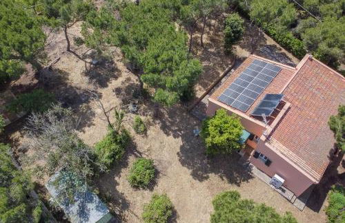 Villa Dei Pini - Foto 52