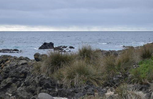 Casa Cruzeiro AL - by the sea OCEANTUR - Photo 24