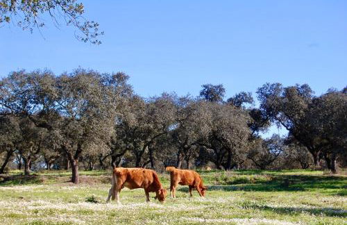 Herdade da Burquilheira Family Retreat - Foto 54