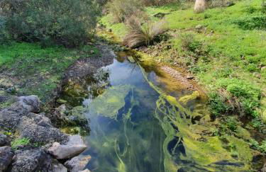 Clube Maria Luisa - Foto 91