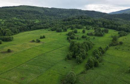 Rajderówka 2 - Foto 49