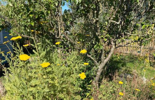 2bed Cabin w/ Parking Near Snowdonia National Park - Photo 59