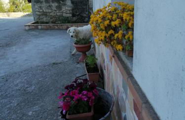 casa Dani - accogliente appartamento - Foto 5