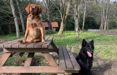 Casa do Paço Aveiro - HolidayHome - Foto 41