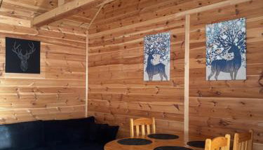 Leśny Zakątek - Mazury - Warmia - jezioro Dadaj - Foto 1