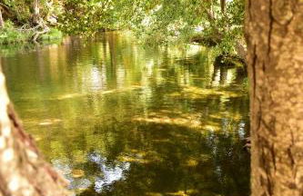 Casa Lagar Da Alagoa - Foto 36