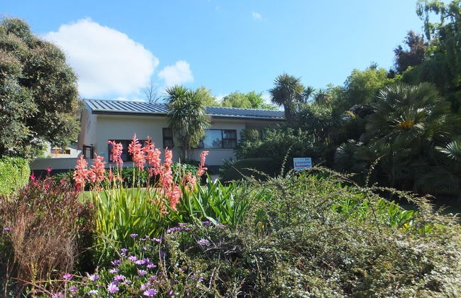 Sandy's Place - Photo 41