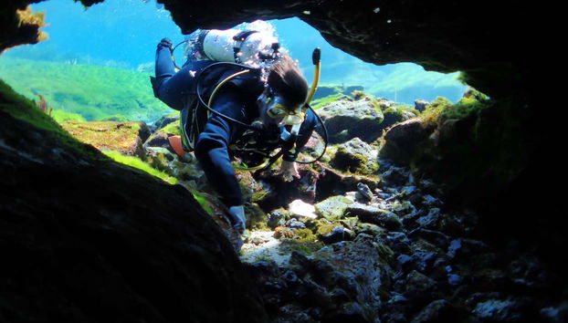 Alla scoperta del Rainbow River