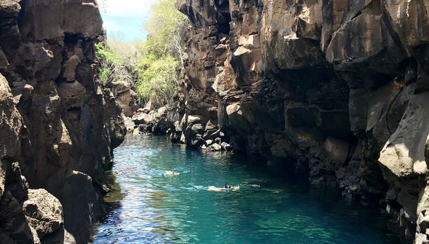 Balade en bateau autour de l'île de Santa Cruz,