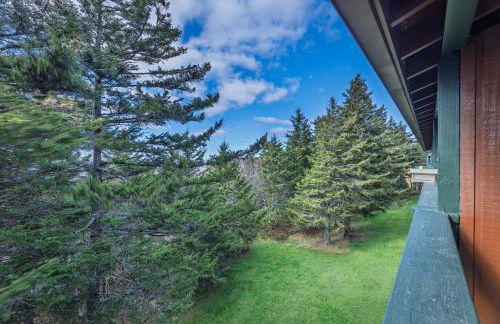 Mountain Crest Cabin - Foto 39