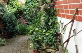 Romantikgarten - Foto 28