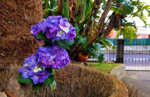 O Refúgio - Espaço natural, amplo e privado - Photo 12