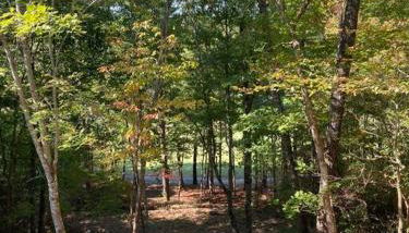 Helen, GA Bear Paw Haus 4 bdrm, sleeps 10, fire pit, pool table, on Golf course - Foto 4