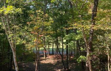 Helen, GA Bear Paw Haus 4 bdrm, sleeps 10, fire pit, pool table, on Golf course - Foto 4