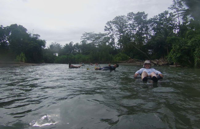 Whale Watching in Bahía Solano - Foto 8
