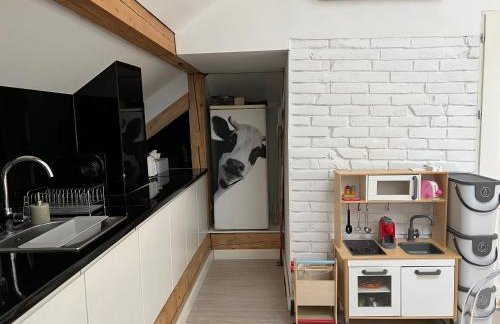 Apartamenty Rajcza - Foto 40