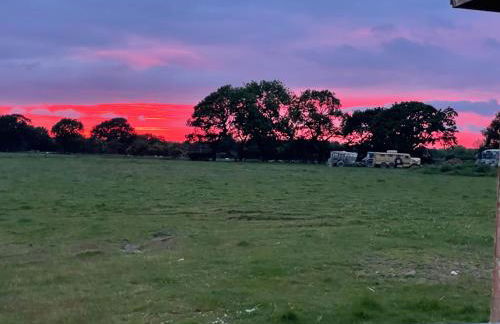 Alpaca Fold - Foto 6