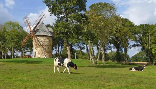 Windmill Stay Near Goelo Coast Beaches - Foto 3, Garden