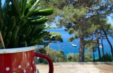 Apartments Atila - Foto 3