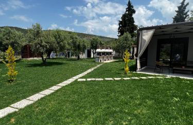 Naiades Villas Aigli - Photo 12