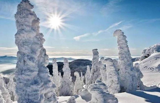 Scenic Apartment With Balcony, Garden, Deckchairs, Barbecue - Foto 68